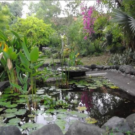 Udayana Kingfisher Eco Lodge Jimbaran Eksteriør bilde