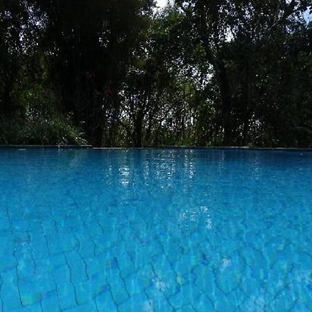 Udayana Kingfisher Eco Lodge Jimbaran Eksteriør bilde