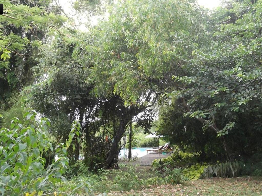 Udayana Kingfisher Eco Lodge Jimbaran Eksteriør bilde